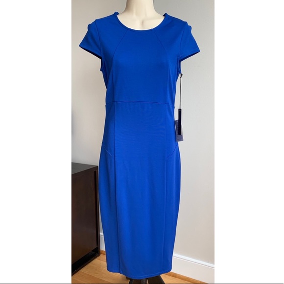 Felicity & Coco Seamed Pencil Dress - Picture 3 of 8